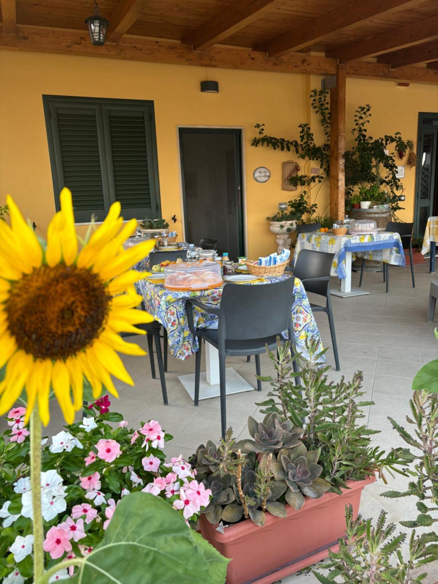 B&B Casa Martina Giungano Exterior photo